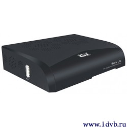 Купить в интернет магазине почтой GI Matrix Lite (DVB-S2/T2/C, CA)