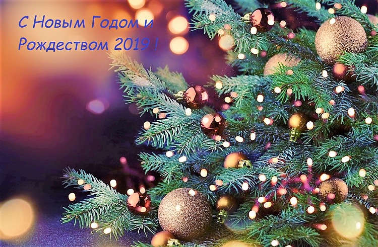 С Новым Годом 2019